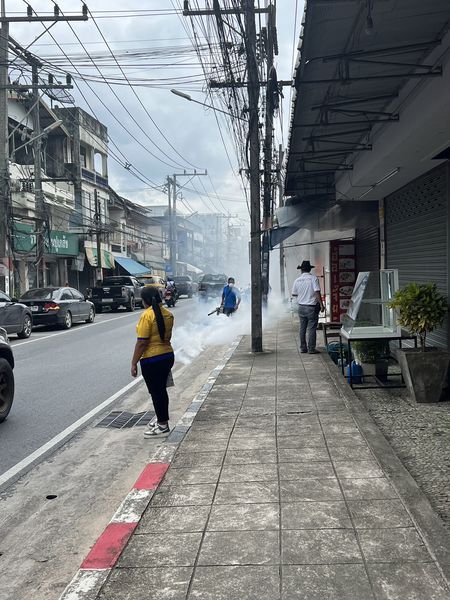 Field Operations to Combat Mosquito-Borne Diseases in Koh Samui