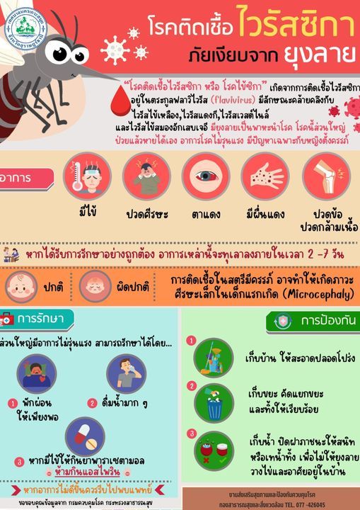 Understanding Zika Virus Infection